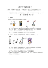 湖北省武汉市东湖高新区2021-2022学年九年级上学期期中考试物理试卷（含答案解析）