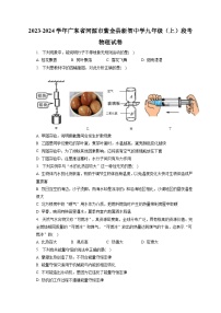 广东省河源市紫金县新智中学2023-2024学年九年级上学期阶段测试物理试卷