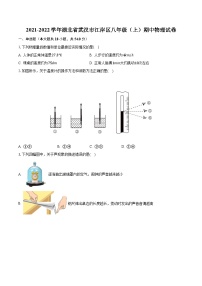 湖北省武汉市江岸区2021-2022学年八年级上学期期中考试物理试卷