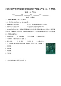 河南省周口市郸城实验中学联盟2023-2024学年九年级上学期月考物理试卷（10月份）+