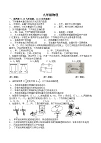 河北省石家庄市栾城区人教九年级物理