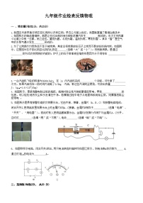 河南省安阳市第八中学2023-2024学年上学期九年级物理月考试卷