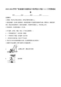 2023-2024学年广东省惠州市惠阳区半岛学校九年级（上）月考物理试卷（含解析）