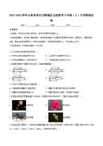 2023-2024学年山东省枣庄市薛城区五校联考八年级（上）月考物理试卷（含解析）