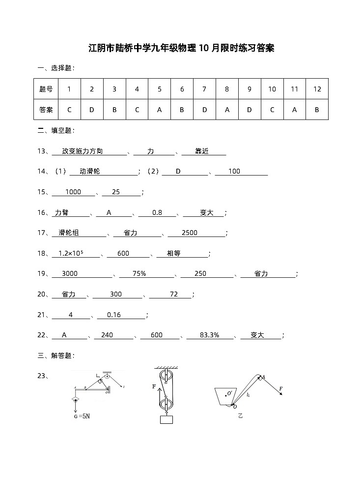 江苏省江阴市陆桥中学2023-2024学年九年级上学期10月限时作业物理试卷（月考）01