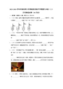 2023-2024学年河南省周口市郸城实验中学联盟九年级上学期月考物理试卷（含解析）