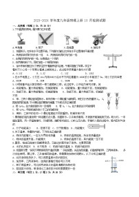 江苏省新沂市第十中学2023-2024学年九年级上学期10月检测物理试题（月考）(01)