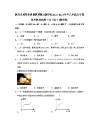 陕西省咸阳市秦都区咸阳方圆学校2023-2024学年八年级上学期10月月考物理试题