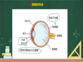 第六节 神奇的眼睛 课件