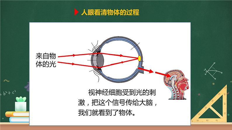 第六节 神奇的眼睛 课件05