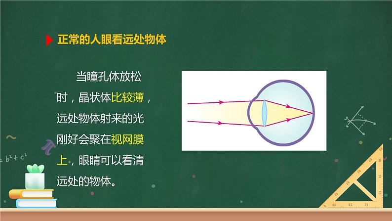 第六节 神奇的眼睛 课件06