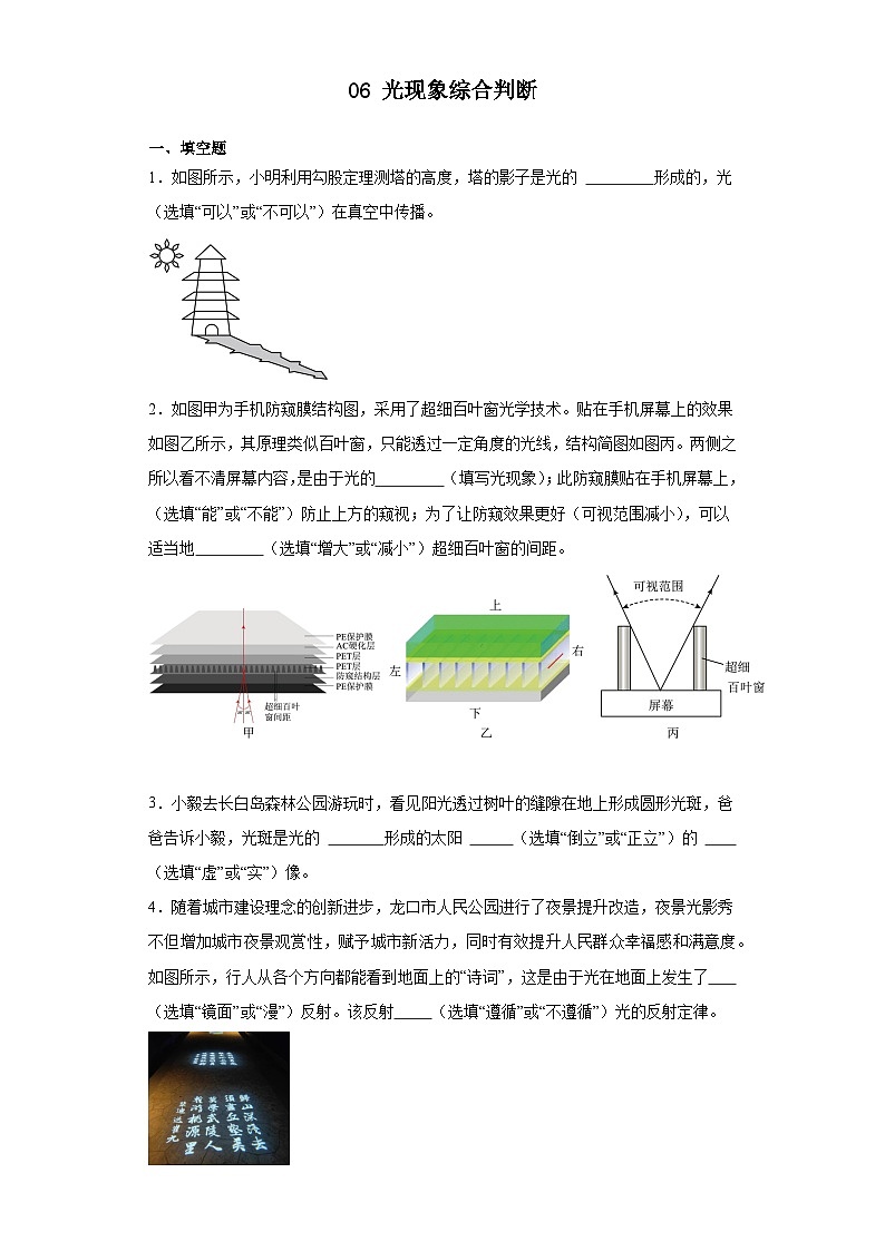 人教版八年级上册网络实验06 光现象综合判断（解析版） 试卷01