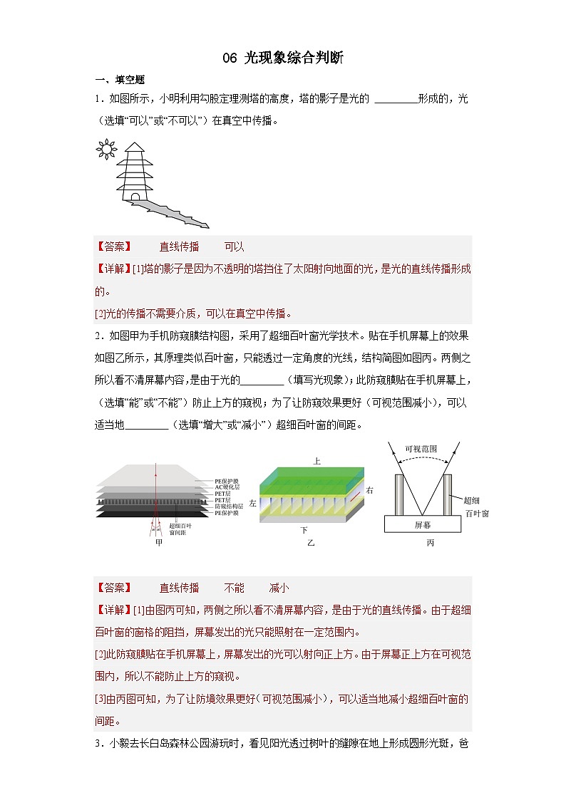 人教版八年级上册网络实验06 光现象综合判断（解析版） 试卷01