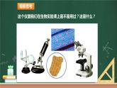 第七节 透过透镜看世界 课件+视频 教科版物理八上