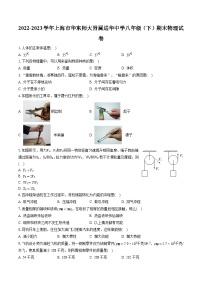 2022-2023学年上海市华东师大附属进华中学八年级（下）期末物理试卷（含答案解析）