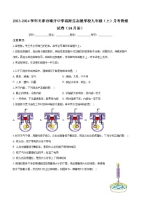 天津市南开中学滨海生态城学校2023-2024学年九年级上学期10月月考物理试题