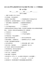 山东省枣庄市市中区乡镇中学2023-2024学年九年级上学期月考物理试卷（10月份）