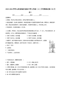 山东省临沂实验中学2023-2024学年九年级上学期月考物理试卷