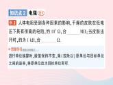 2023九年级物理全册第十一章简单电路第六节不同物质的导电性能第七节探究__影响导体电阻大小的因素作业课件新版北师大版