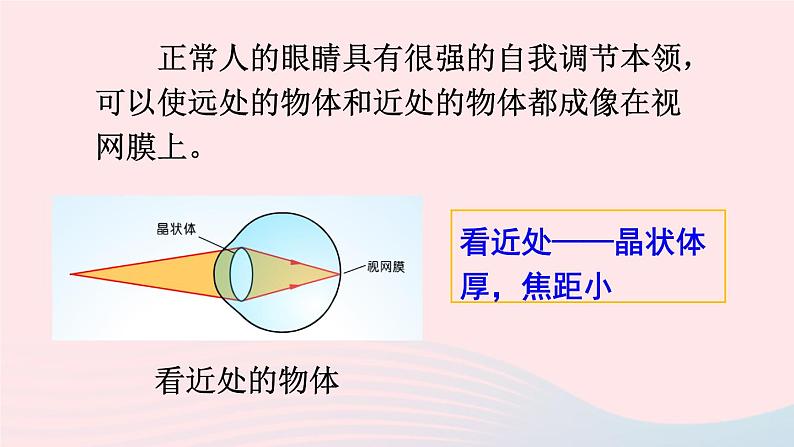 2023八年级物理上册第四章多彩的光第六节神奇的眼睛第一课时眼睛和视力矫正上课课件新版沪科版06