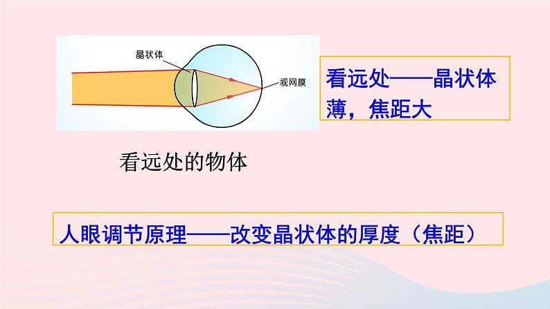 2023八年级物理上册第四章多彩的光第六节神奇的眼睛第一课时眼睛和视力矫正上课课件新版沪科版07