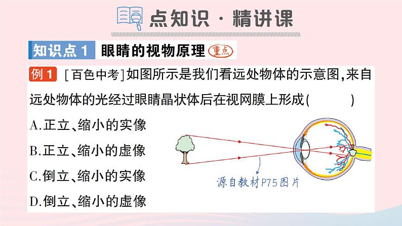 2023八年级物理上册第四章多彩的光第六节神奇的眼睛作业课件新版沪科版02