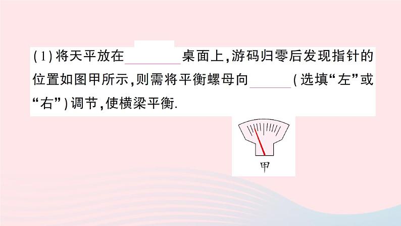 2023八年级物理上册第五章质量与密度第二节学习使用天平和量筒作业课件新版沪科版03