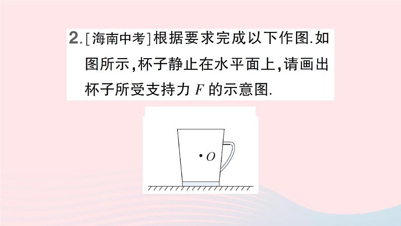 2023八年级物理上册第六章熟悉而陌生的力微专题七力的示意图作业课件新版沪科版03