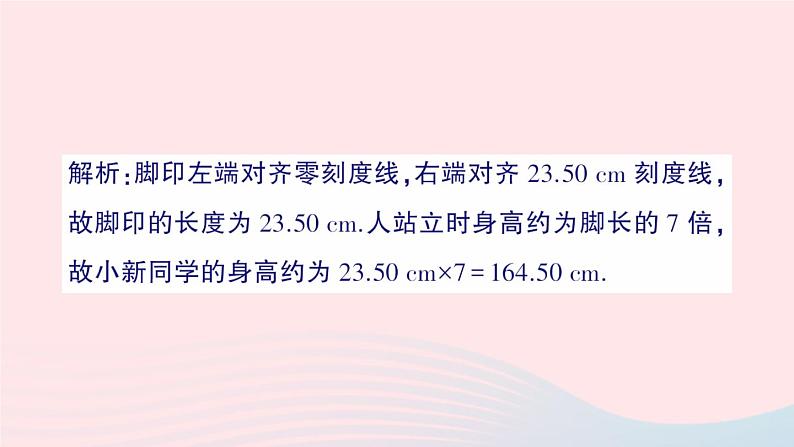 2023八年级物理上册第一章走进实验室章末复习提升作业课件新版教科版06