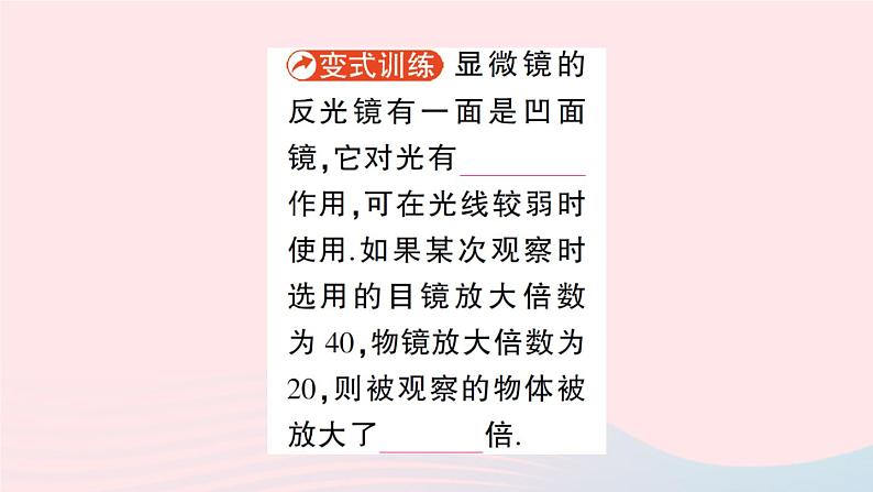 2023八年级物理上册第四章在光的世界里第7节通过透镜看世界作业课件新版教科版07