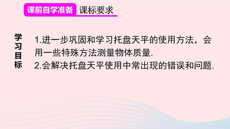 2023八年级物理上册第六章质量与密度第1节质量第二课时质量的测量技巧课件新版新人教版02