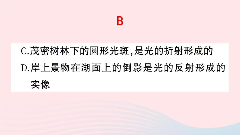 2023八年级物理上册期末复习四光现象作业课件新版新人教版04