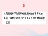 2023八年级物理上册期末复习四光现象作业课件新版新人教版