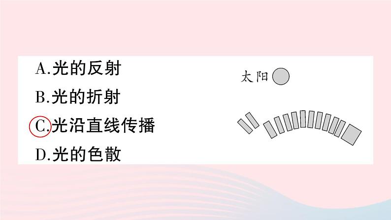 2023八年级物理上册第四章光现象专题六光现象辨析作业课件新版新人教版05