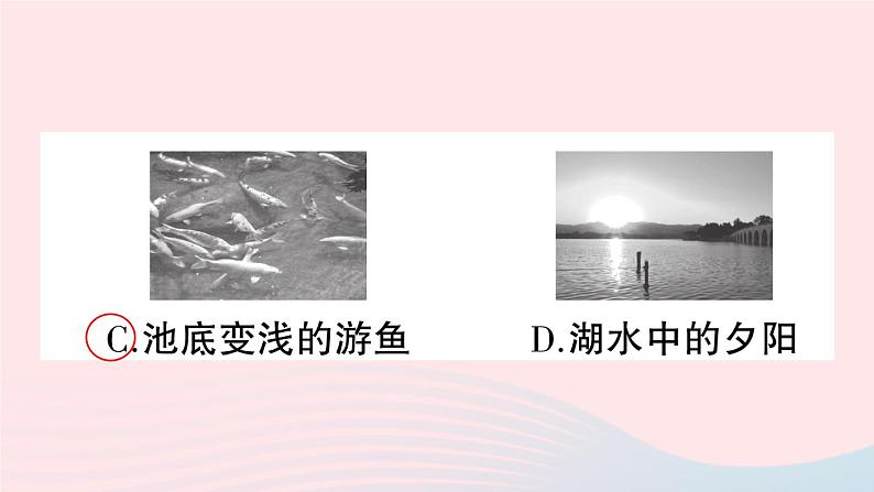 2023八年级物理上册第四章光现象专题六光现象辨析作业课件新版新人教版07