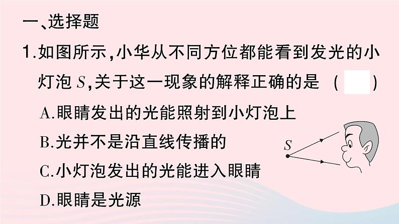 2023八年级物理上册第四章光现象滚动训练1第四章第1~3节作业课件新版新人教版第2页