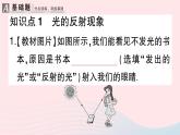 2023八年级物理上册第四章光现象第2节光的反射作业课件新版新人教版