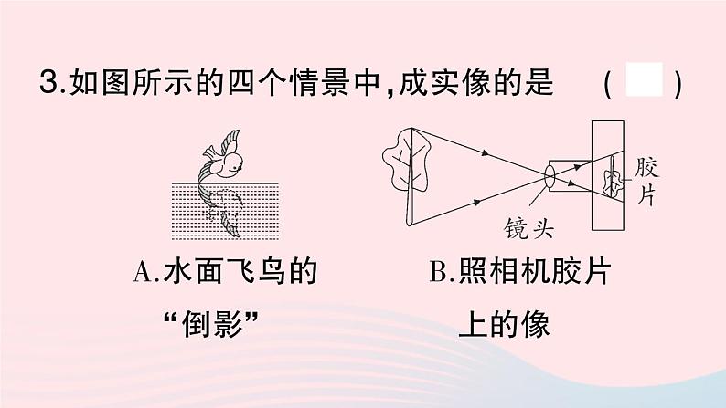 2023八年级物理上册第五章透镜及其应用滚动训练2第五章第1~3节作业课件新版新人教版04