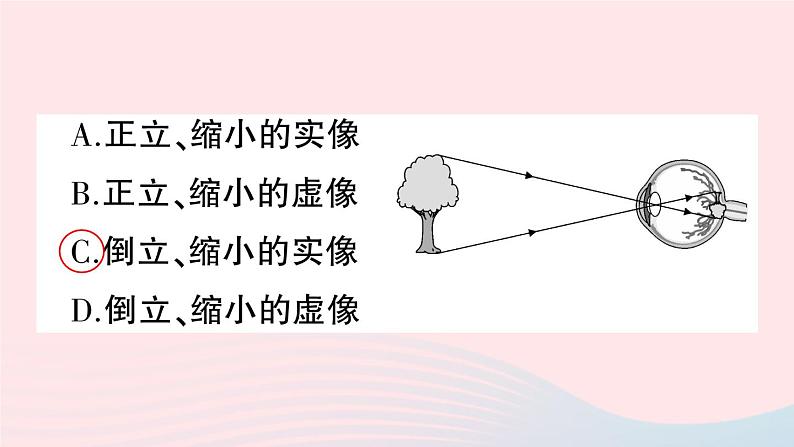 2023八年级物理上册第五章透镜及其应用第4节眼睛和眼镜作业课件新版新人教版第3页