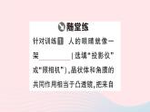 2023八年级物理上册第五章透镜及其应用第4节眼睛和眼镜随堂知识手册作业课件新版新人教版