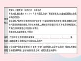 2023八年级物理上册第四章光现象第2节光的反射第一课时光的反射现象及定律预习作业课件新版新人教版