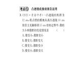 人教版八年级物理上专项复习（5）透镜及其应用课时训练课件PPT
