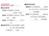人教版八年级物理上第4章光现象第2节光的反射课时训练课件PPT