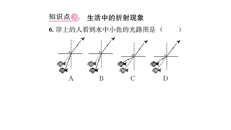 人教版八年级物理上第4章光现象第4节光的折射课时训练课件PPT第7页