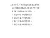 人教版八年級(jí)物理上第5章透鏡及其應(yīng)用滾動(dòng)強(qiáng)化練習(xí)（2）課時(shí)訓(xùn)練課件PPT