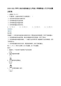 2020-2021学年上海市浦东新区九年级上学期物理9月月考试题及答案