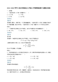 2021-2022学年上海市青浦区九年级上学期物理期中试题及答案