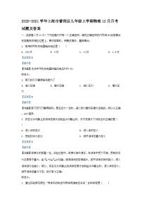 2020-2021学年上海市普陀区九年级上学期物理12月月考试题及答案