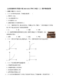 山东省泰安市宁阳县十校2020-2021学年上学期期中质量检测题八年级物理试卷