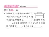 人教版八年级物理下册第7章力第1节力第1课时力及力的三要素课时训练课件PPT